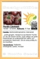 Preview: Tomate * Purple Calabash * 20 Samen